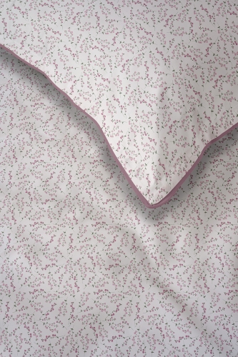 5895_B_02.jpg